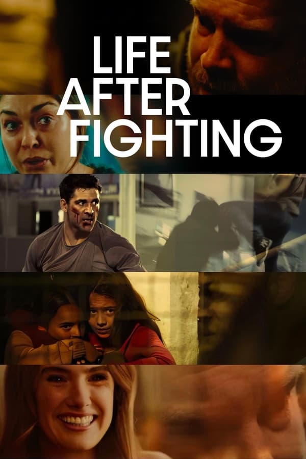 Life After Fighting poster