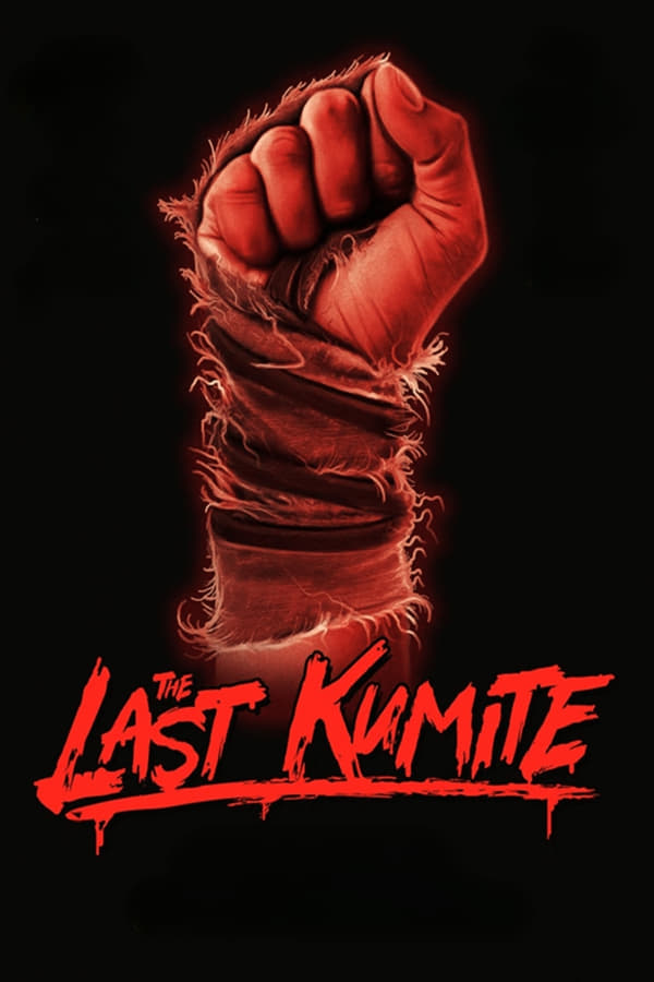 The Last Kumite poster