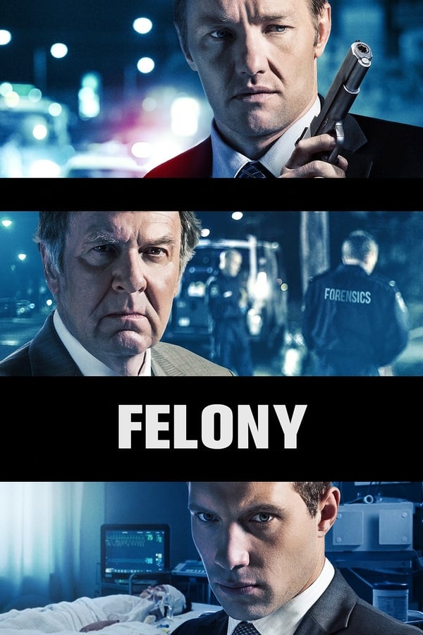 Felony poster